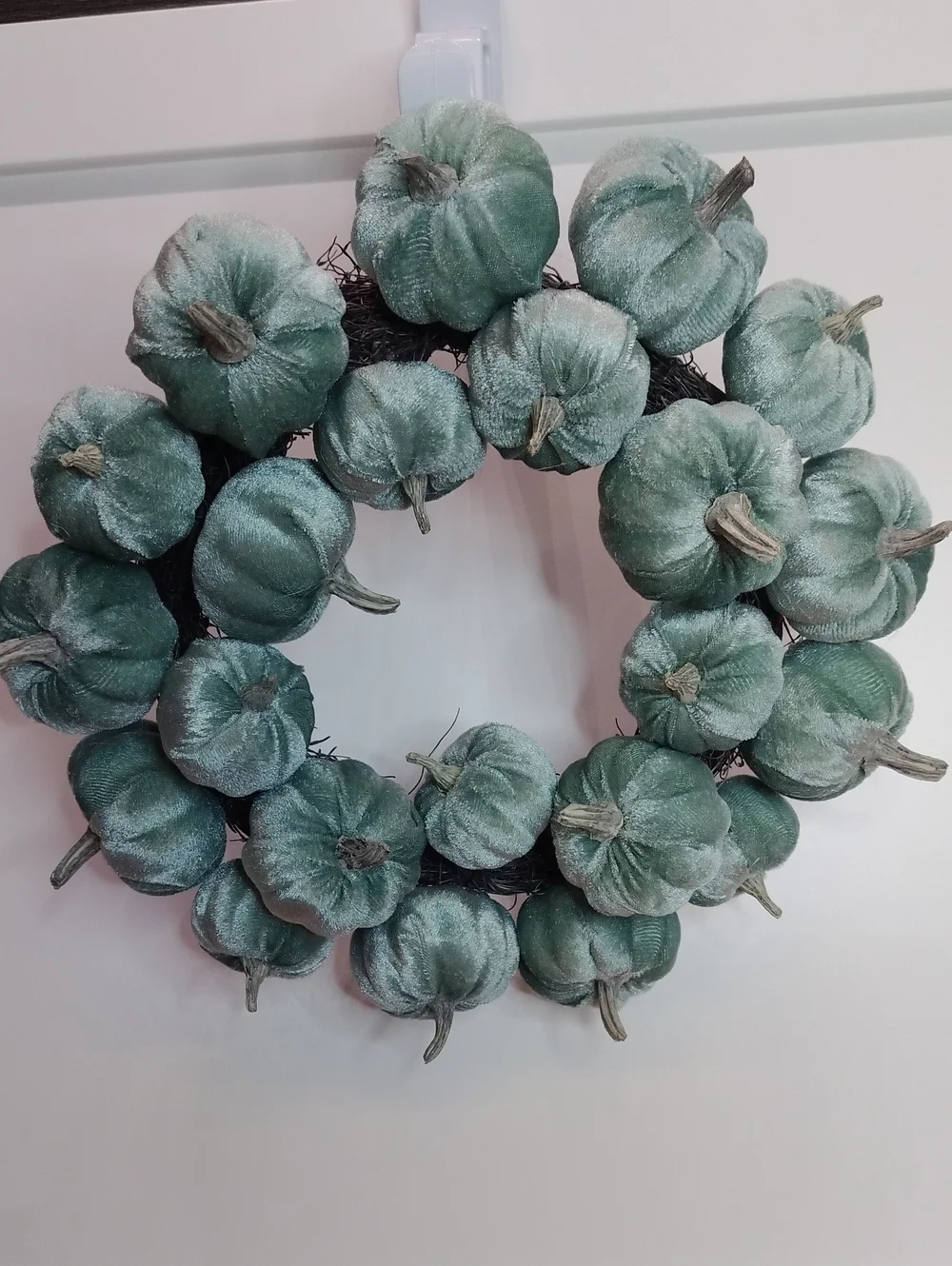 Velvet Teal Pumpkin 9